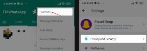 How to Keep Deleted Messages In FM WhatsApp 2023 - Step 3